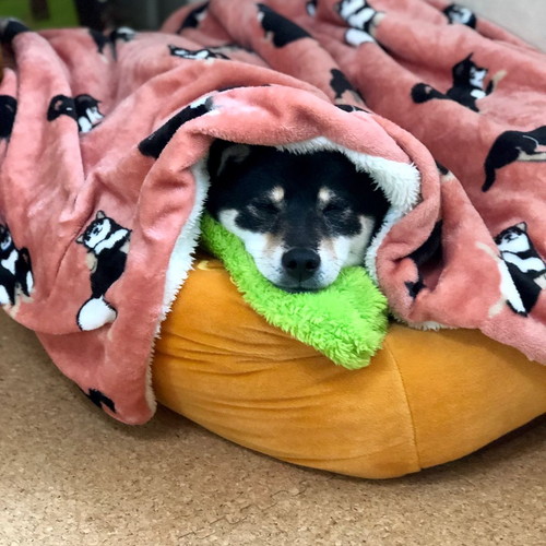 みくちゃんとりなちゃん