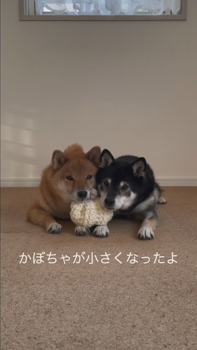 みくちゃんとりなちゃん