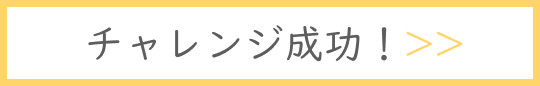 チャレンジ成功