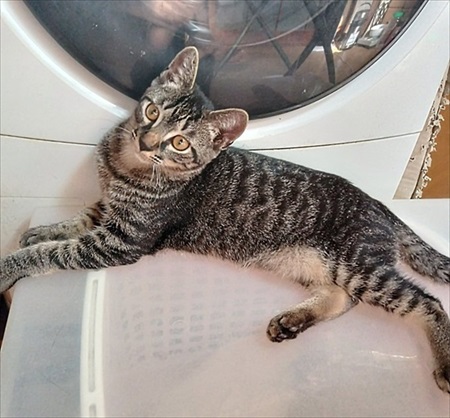 すごいクールな子がいる