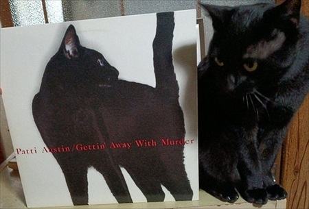 すごいクールな子がいる