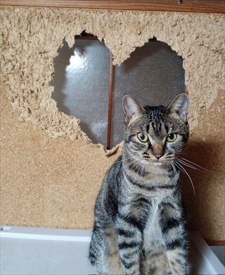 すごいクールな子がいる