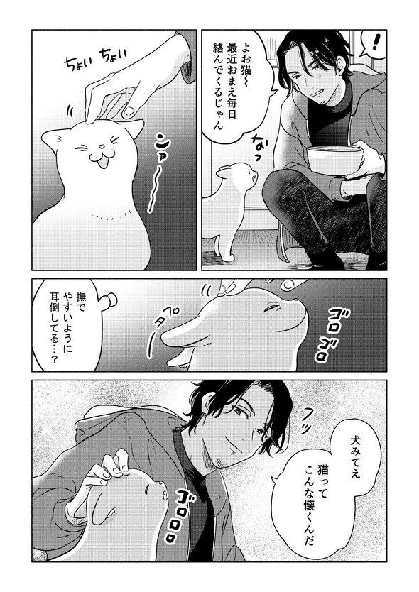 人懐っこい猫ちゃんに遭遇