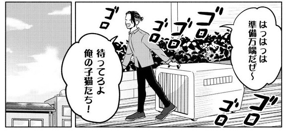 猫グッズを用意