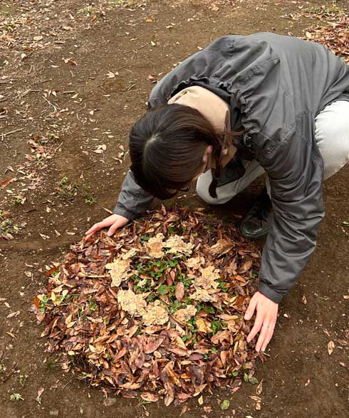 落ち葉 お好み焼き 公園