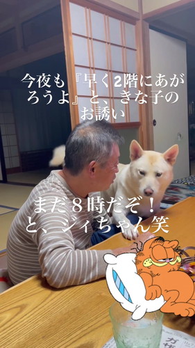 前足を机において訴えます