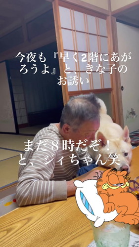 かわいすぎる顎のせ