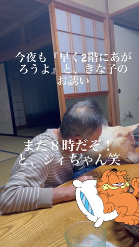 ちょっとあっちを向いてみたり