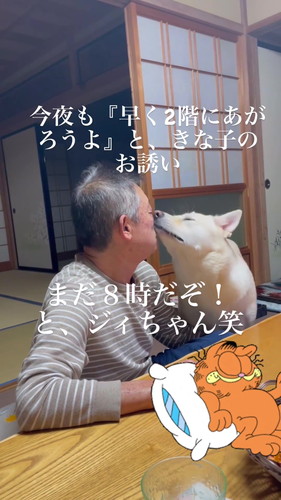 おじいちゃん、もうテレビを全然見ていませんね