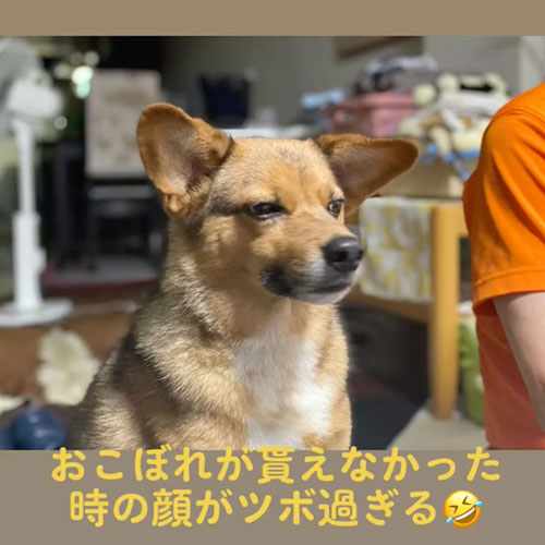 おこぼれが貰えなかった