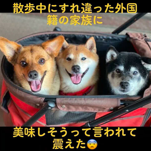 美味しそうって言われた