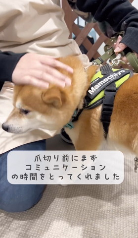 爪きり前にまず