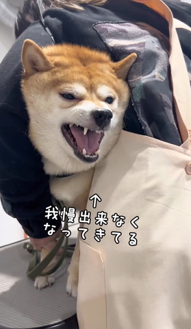 我慢できなくなってきてる