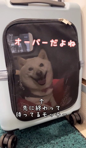 オーバーだよね