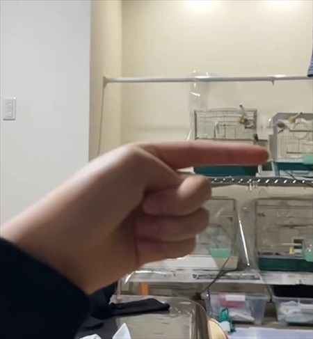 人差し指を伸ばす飼い主