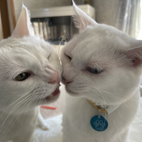 ぷーさんとリリーちゃん