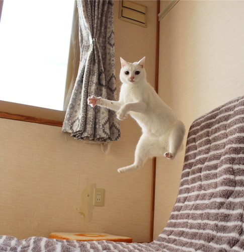 ぷーさんとリリーちゃん