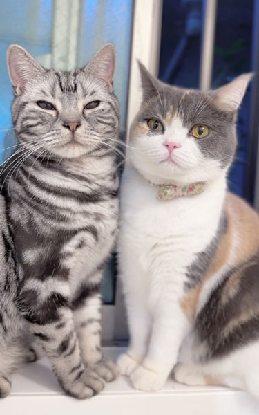 みゅーちゃんとりんくん