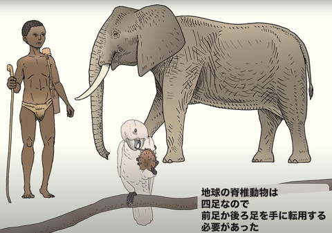 地球の脊椎動物は四足