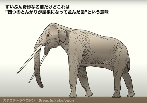 ステゴテトラベロドン
