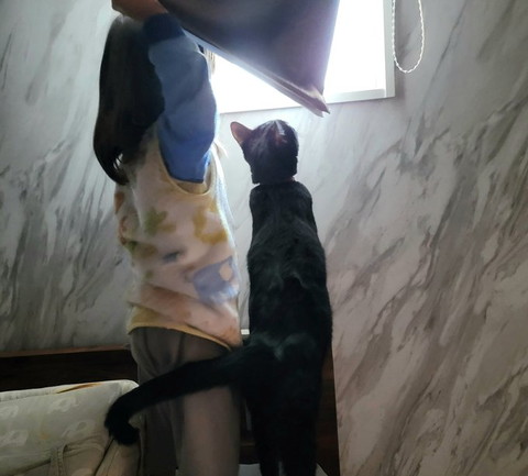 ブラインドをあける