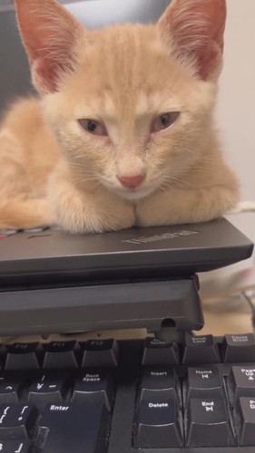 寝起きの第一声