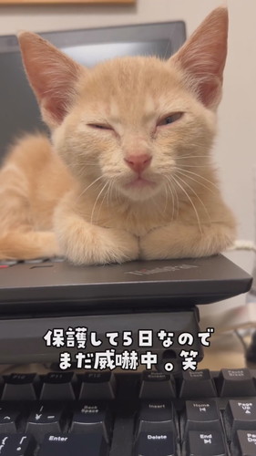 寝起きの第一声