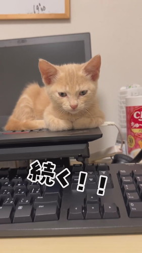 寝起きの第一声