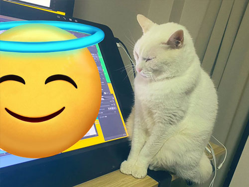 あたしだけを見て