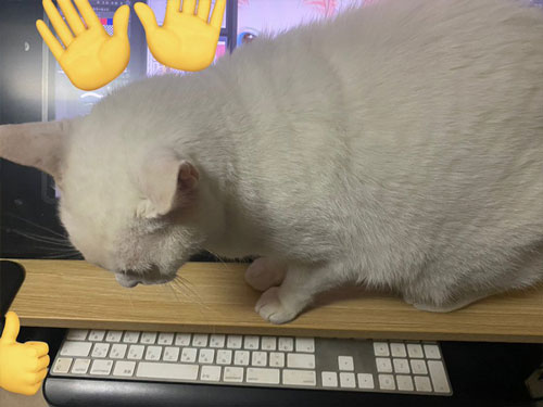 あたしだけを見て