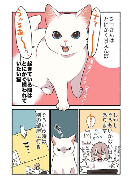 甘えんぼ猫が甘えられないとき