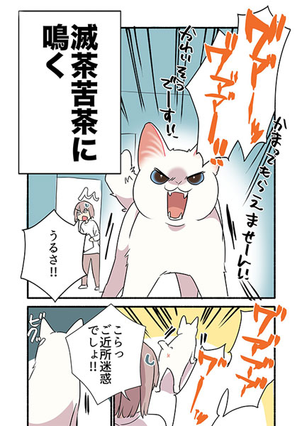 甘えんぼ猫が甘えられないとき