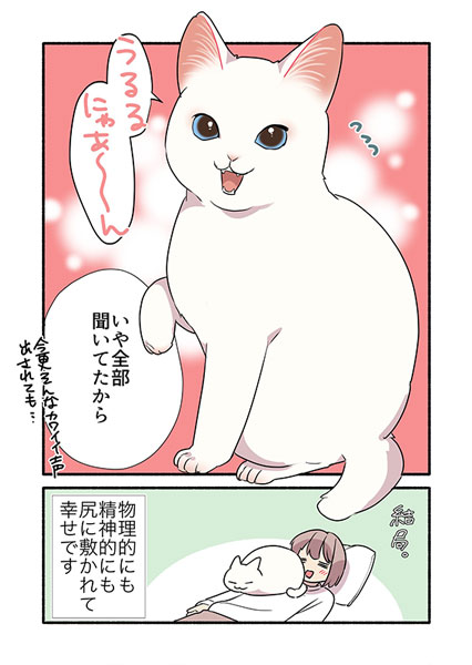 甘えんぼ猫が甘えられないとき