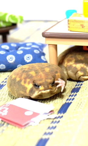 歌舞伎みたいなポーズ