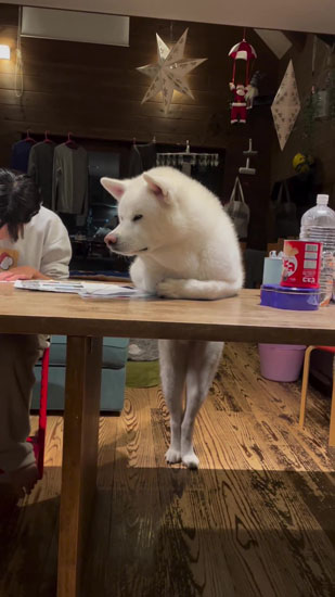 見守り隊のこちろうくん