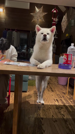 首を伸ばすこちろうくん