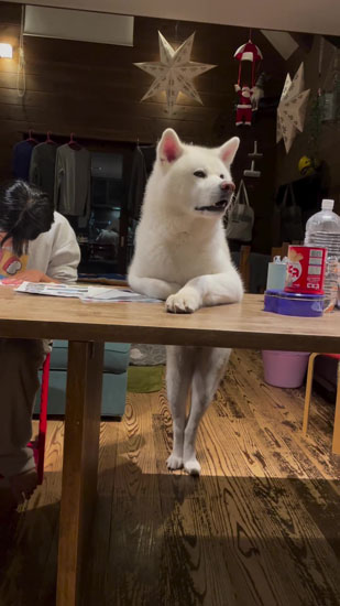 遠くを見るこちろうくん