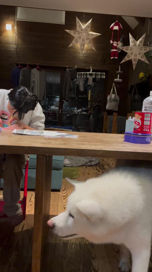 テーブルからおりるこちろうくん