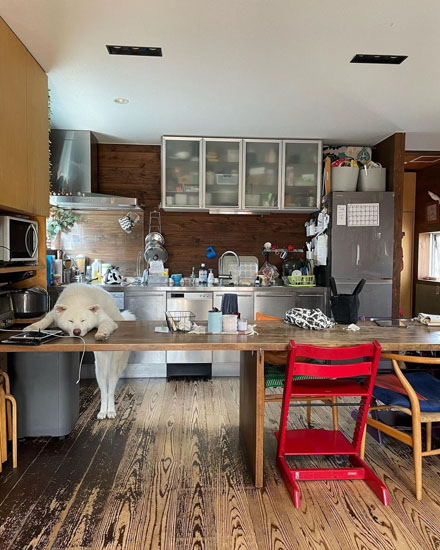 リラックスするこちろうくん