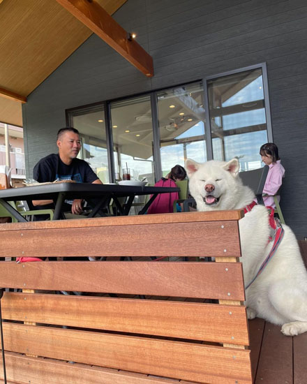 ニコニコこちろうくん