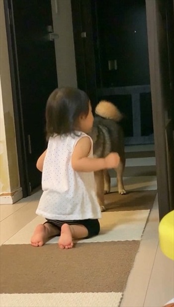 ずっと一緒だった犬と娘