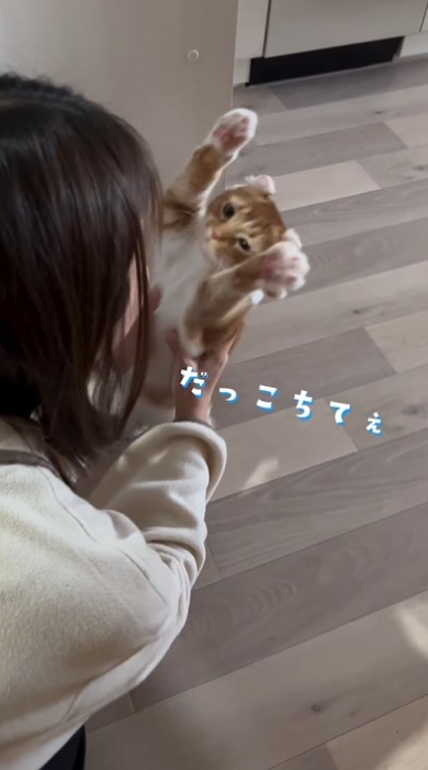 前足を広げる猫