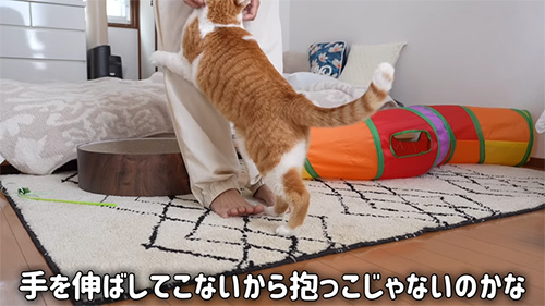 抱っこじゃないのかな