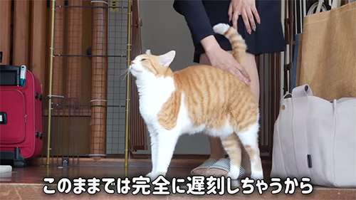 完全に遅刻しそうなママ