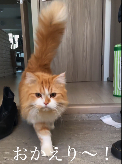 おしゃべりをしながら近づいて来ます