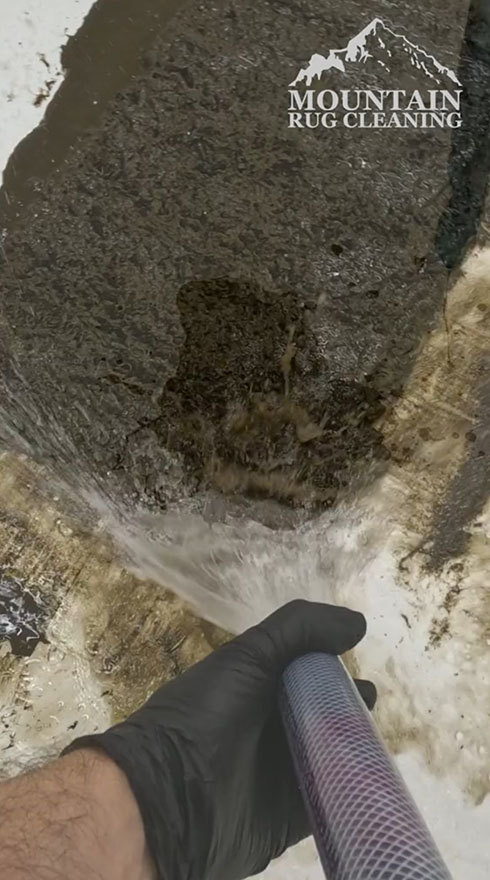 クリーニング 掃除 カーペット