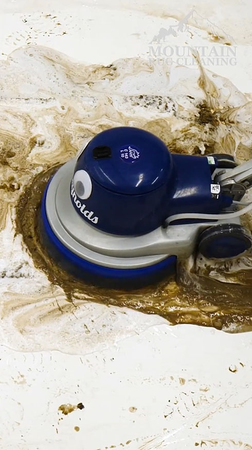 クリーニング 掃除 カーペット