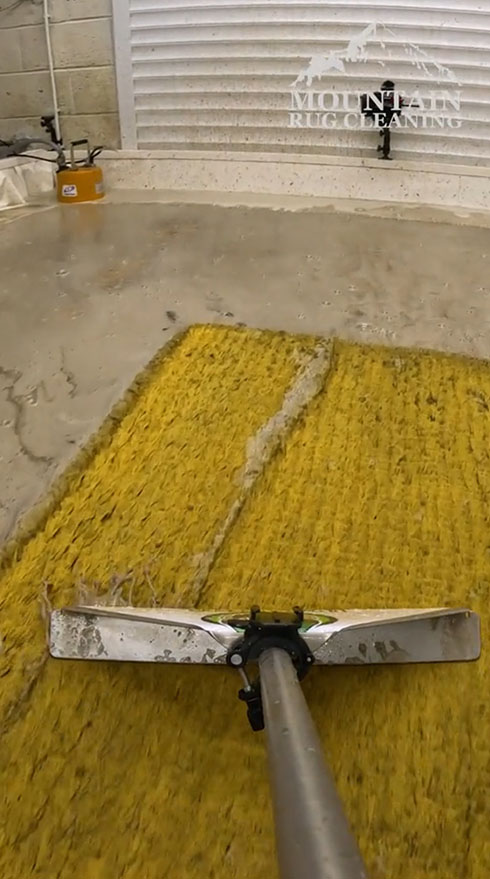 クリーニング 掃除 カーペット