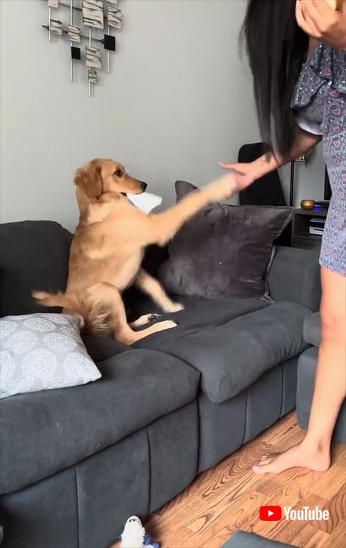 ごみを離さないワンコ