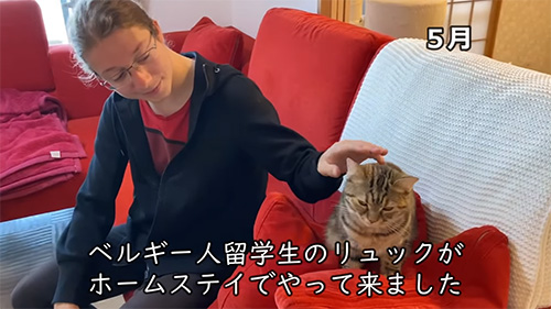 留学生と猫